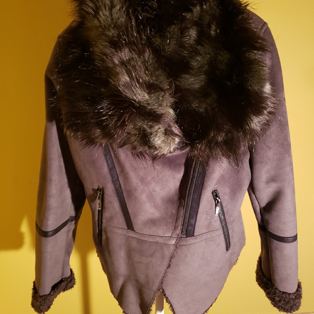 Jacket - Picture 5 of 5